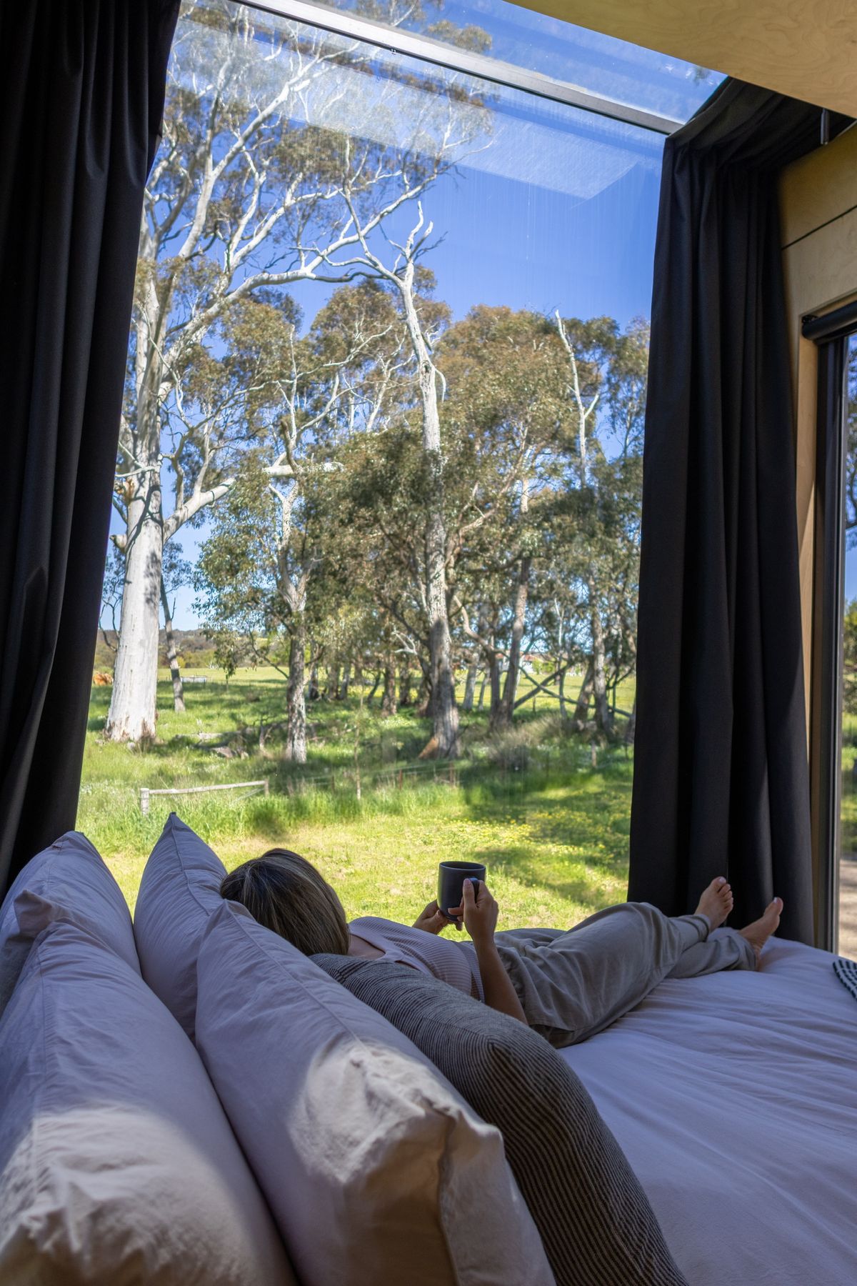 Interior of a cabin looking out to gum trees